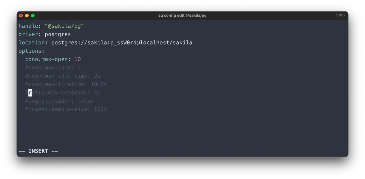 sq config edit src