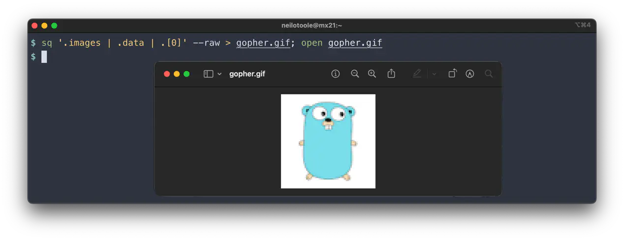 sq query raw gopher