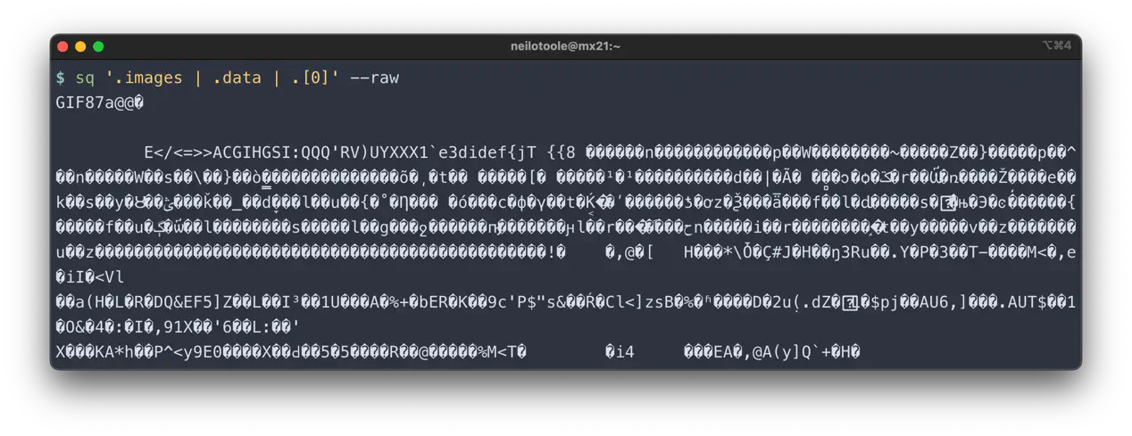 sq query raw image